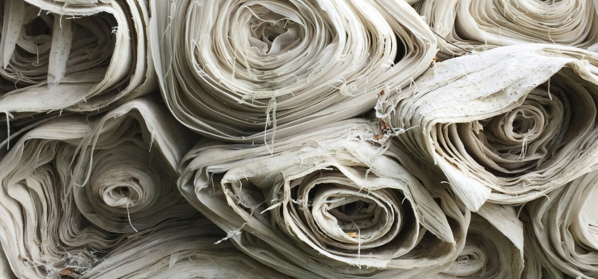 Dozens of rolls of undyed cream and off-white fabric stacked and viewed end-on, their layers spiralling like the rings of cut wood.