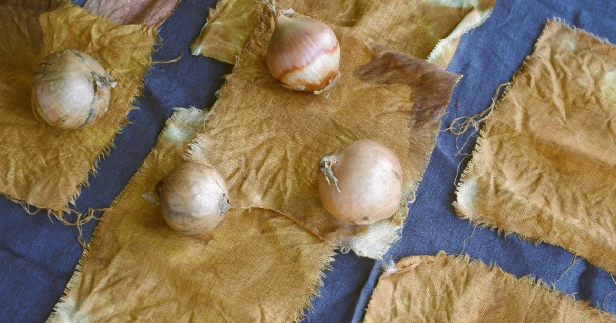 Squares of fabric dyed golden-brown with onion skins, laid out beside whole onions.